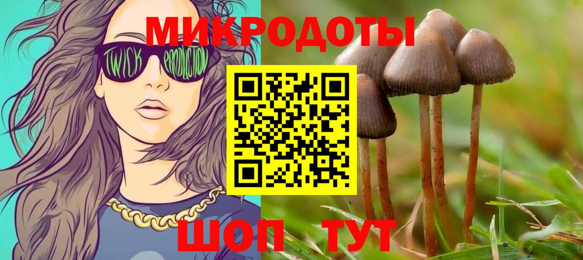 Псилоцибиновые грибы Magic Shrooms  как найти закладки  Гусиноозёрск  Вход с VPN 